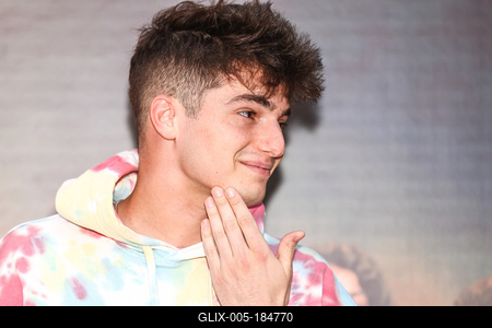 LEGENDÁS ÁLLATOK- DUMBLEDORE TITKAI- magyarországi gálapremier-stock-foto