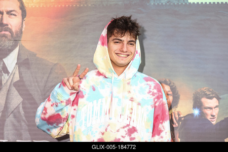 LEGENDÁS ÁLLATOK- DUMBLEDORE TITKAI- magyarországi gálapremier-stock-foto