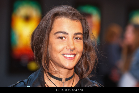 LEGENDÁS ÁLLATOK- DUMBLEDORE TITKAI- magyarországi gálapremier-stock-foto