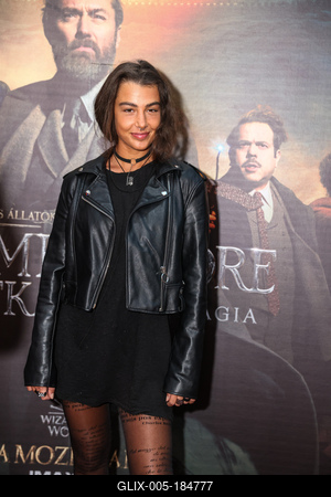 LEGENDÁS ÁLLATOK- DUMBLEDORE TITKAI- magyarországi gálapremier-stock-foto