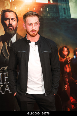 LEGENDÁS ÁLLATOK- DUMBLEDORE TITKAI- magyarországi gálapremier-stock-foto