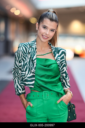 Gran Turismo- gálapremier-stock-foto