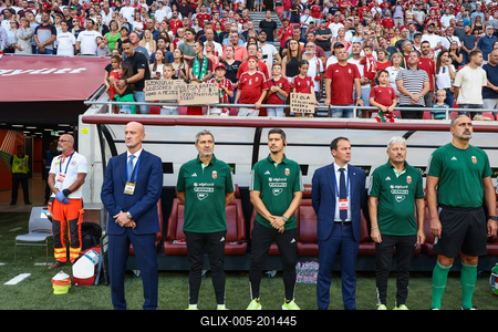 Hungary v Czech Republic - International Friendly-stock-foto