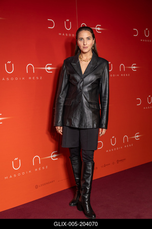 DŰNE  második rész, gálapremier,-stock-foto