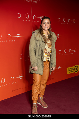 DŰNE  második rész, gálapremier,-stock-foto