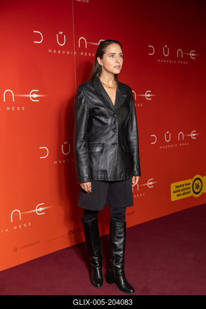 DŰNE  második rész, gálapremier,-stock-foto