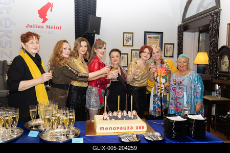 (b-j) Lőkös Ildikó, Szőlőskei Tímea, Janza Kata, Tóth Enikő, Náray Erika, Hernádi Judit, Tallós Andrea, Falusi Mariann,-stock-foto