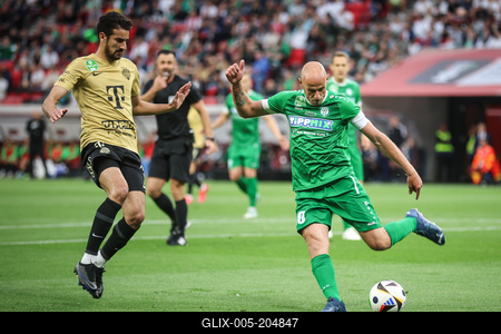 Ferencváros TC - Paks FC magyar kupa bajnoki döntő-stock-foto