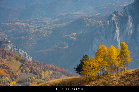 Mountain autumn landscape with yellow birch trees. Filtered image-stock-foto