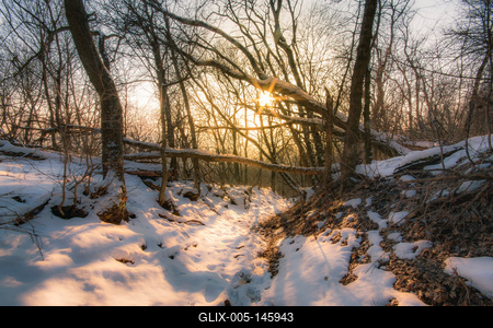 Naplemente a téli erdőben-stock-foto