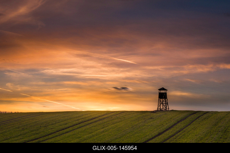Vadászles alkonyi fényekkel-stock-foto