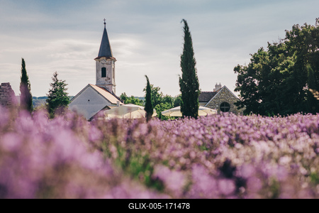 Dörgicse-stock-foto