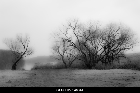 Ködös téli táj-stock-foto