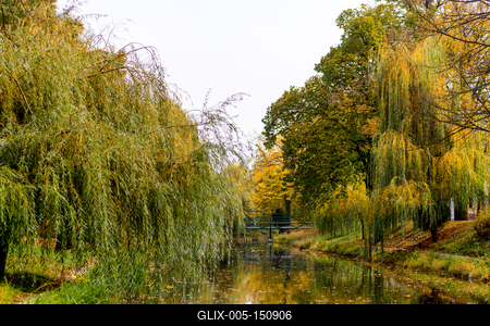 The city canal across a huge willow trees in autumn. Hungary, Gyula-stock-foto