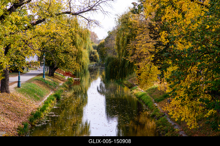 The city canal across a huge willow trees in autumn. Hungary, Gyula-stock-foto