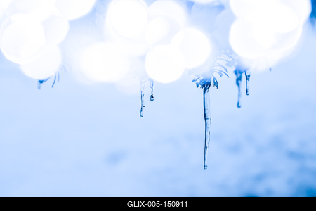 There are icicles on a snowy pine tree. Ice blue and bokeh circles, winter background-stock-foto