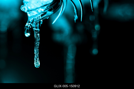 On a snowy pine branch are icicles. Dark and turquoise, winter background-stock-foto