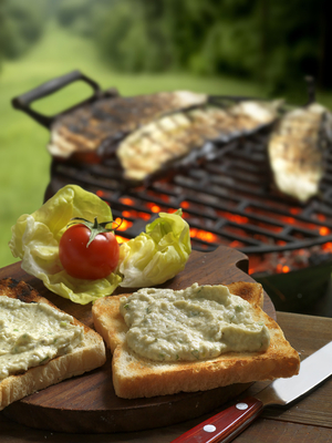Erdélyi és görög padlizsánkrém-stock-foto