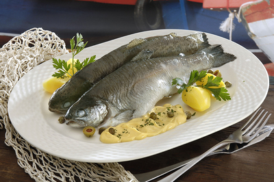 Pisztráng kékre fôzve, hollandi mártással-stock-foto