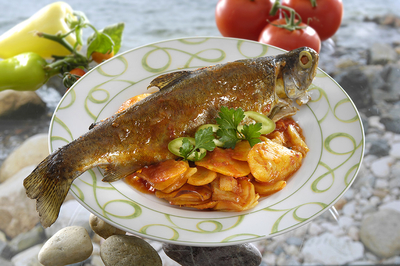 Pisztráng Szalajka módra-stock-foto