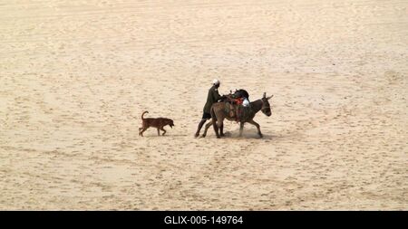 Ember és állatok egy afrikai tengerparton.-stock-foto