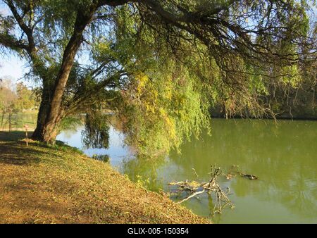 A természet õsszel - Martonvásár-stock-foto
