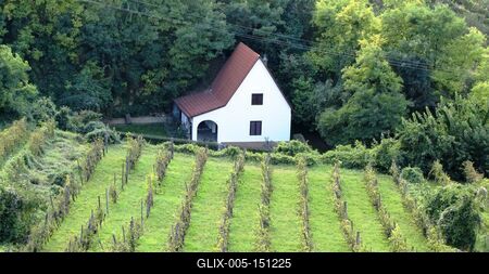 Szekszárd, 2010. szeptember 7.Szekszárdi szõlõs présházzal.-stock-foto