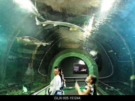 Poroszló, 2016. október 2.Látogatók a Tisza-tavi Ökocentrum akváriuma alatti folyósón.-stock-foto