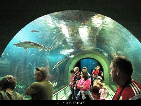 Poroszló, 2016. október 2.Látogatók a Tisza-tavi Ökocentrum akváriuma alatti folyósón.-stock-foto