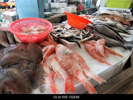 Tengerihal-stock-foto