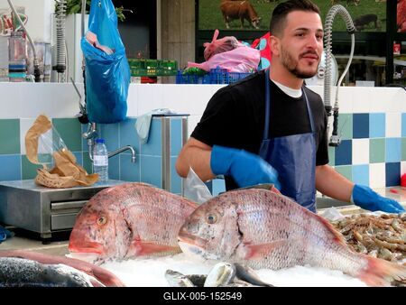 Tengeri halak-stock-foto