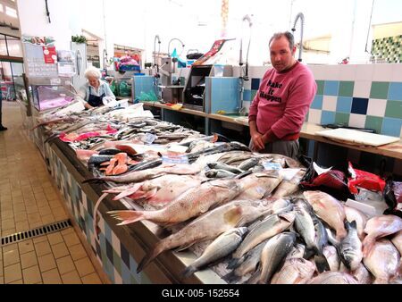 Tengerihal-stock-foto