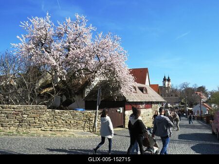 Tihany tavasszal-stock-foto