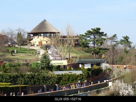 Tihany - Virágzó mandulafák-stock-foto