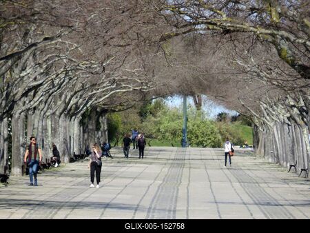 Lisszaboni sétány-stock-foto