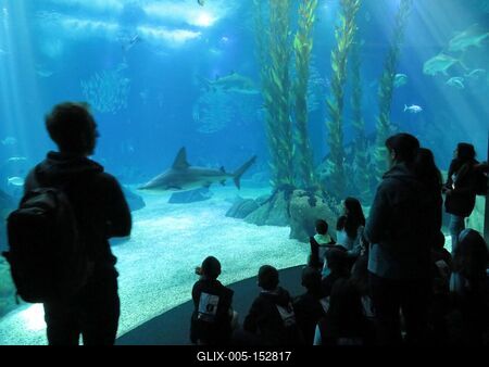 Látogatók az óceáni akvárium elõtt-stock-foto