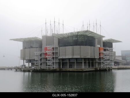 Oceanárium - Tengeri élõvilág-stock-foto