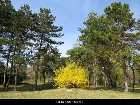 Tavasz a Népligetben-stock-foto