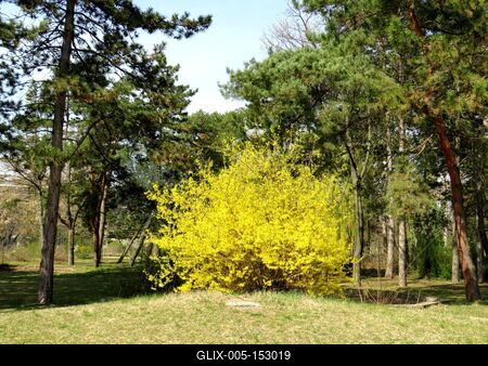 Tavasz a Népligetben-stock-foto