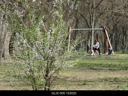 Tavasz a Népligetben-stock-foto