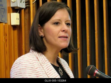 Szél Bernadett képviselõ-stock-foto