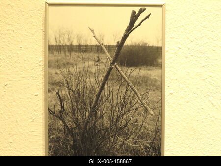 1956 - 301. parcella - Fotókiállítás-stock-foto