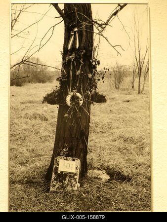 1956 - 301. parcella - Fotókiállítás-stock-foto