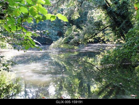 Sárvár (Hungary), 11 September 2016The natural environment of Sárvár arboretum.A sárvári arborétum természeti környezete.-stock-foto