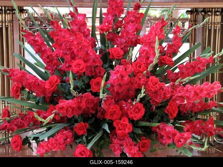 Szombathely (Hungary), 12 September 2016Gladiolus at the altar of the Cathedral of Szombathely.Gladiolus a Sarlós Boldogasszony Székesegyház Nagytemplom oltáránál.-stock-foto