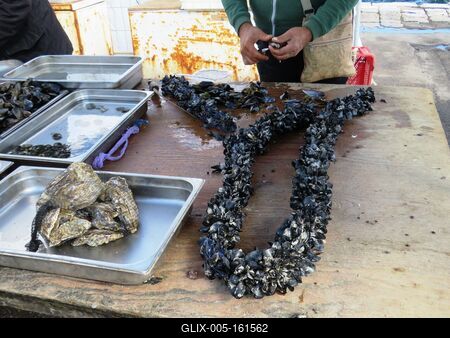 Osztriga és feketekagyló - Tenger gyümölcse - Taranto-stock-foto