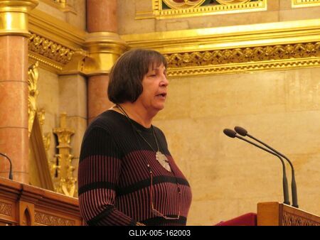 Papp Katalin, a Nyugdíjasok Országos Képviseletének elnöke-stock-foto