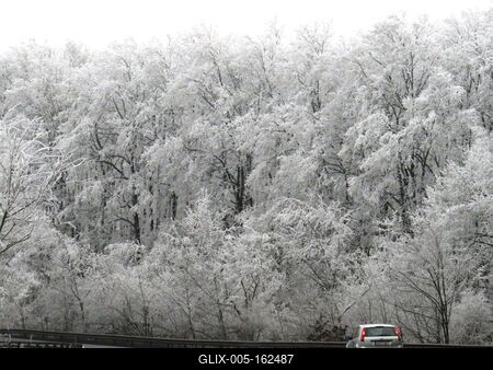 Téli táj - Zúzmarás fák - Országút-stock-foto