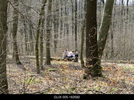 Family sitting on a tree trunk - Forest - Spring-stock-foto