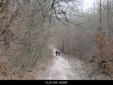 Hiking couple in a Forest - Spring-stock-foto